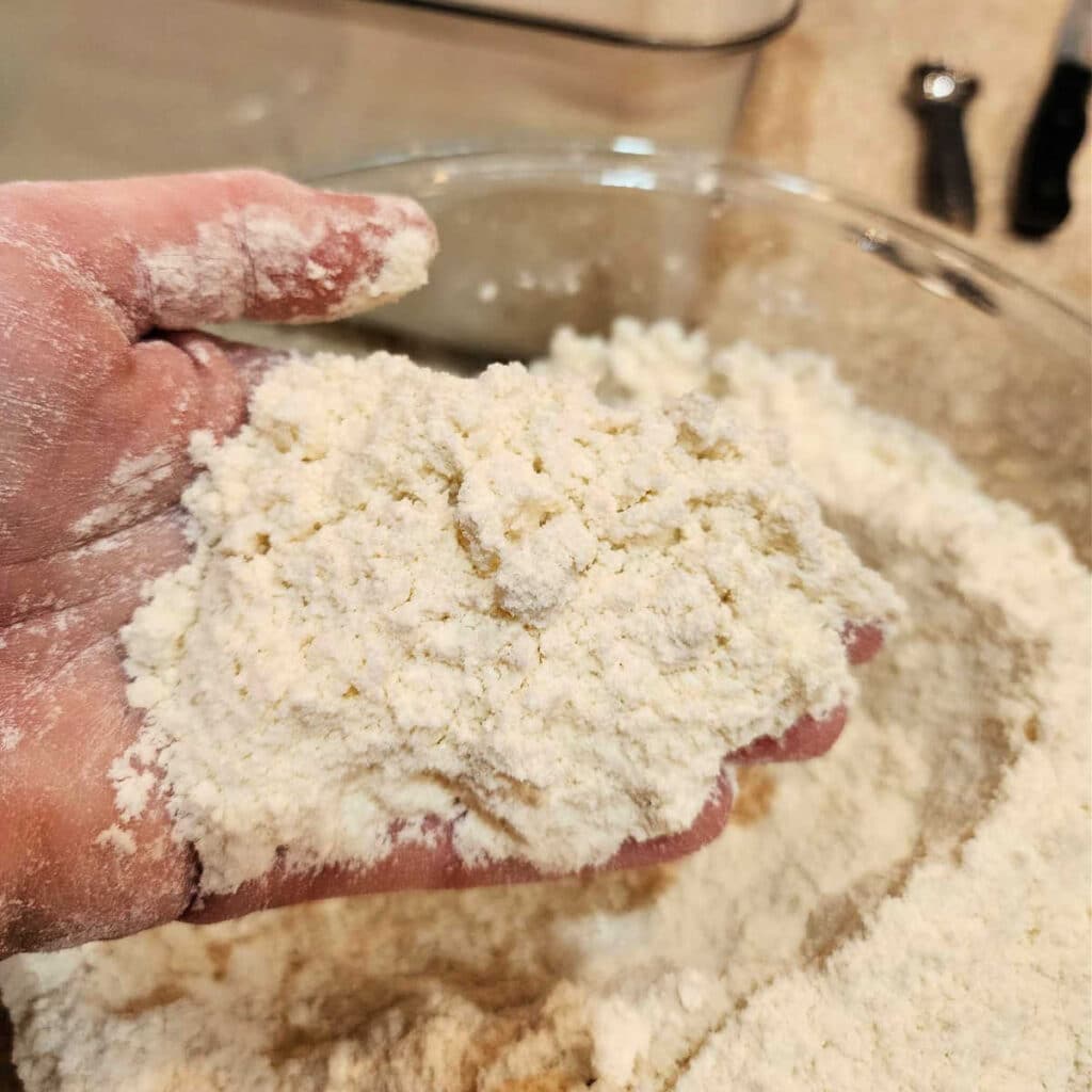A hand holding a handful of flour and butter mixed together so completely that you can't see any pieces of butter. The whole mixture is mealy in texture.
