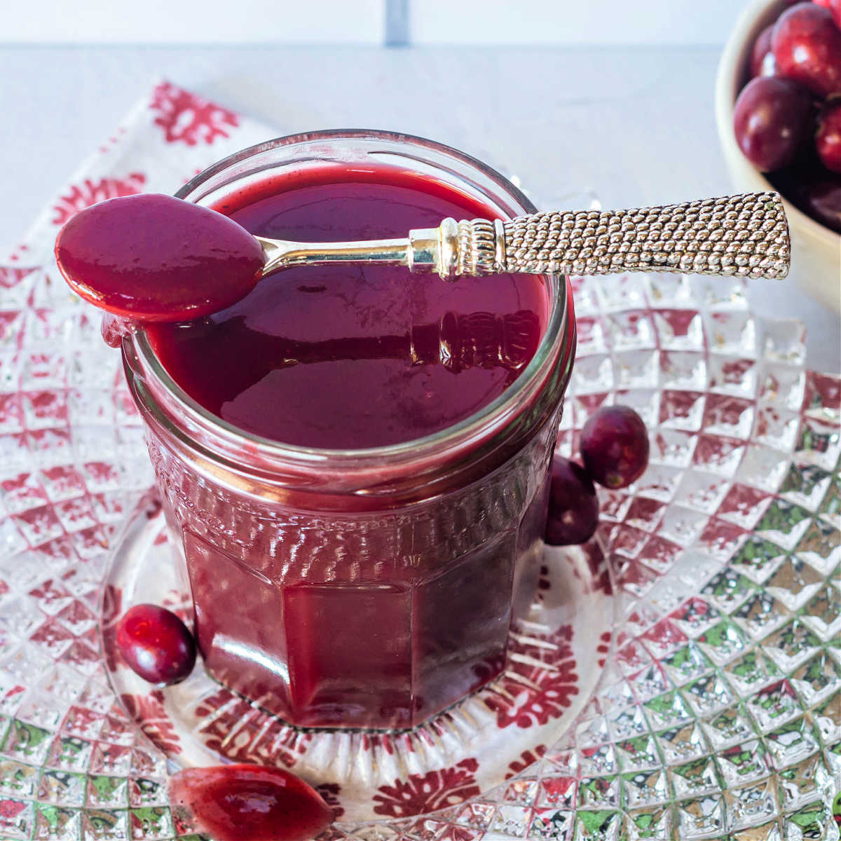 Tangy Cranberry Ketchup Recipe Turkey Sandwich's Best Friend