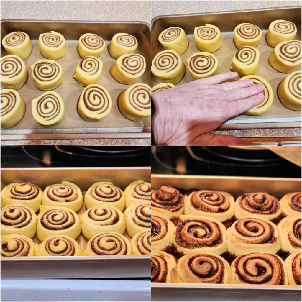 A collage of 4 images: 12 cinnamon rolls in a pan before rising and baking. 2)A hand pressing one of the rolls down to flatten it just a bit. 3)The rolls risen so the sides of each are touching. 4)The baked cinnamon rolls in a pan before glazing.