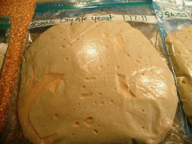 A close up of zip top bag with rising bread dough in it.
