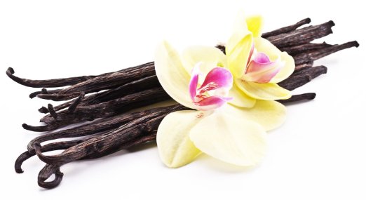 A bundle of whole vanilla beans with 2 vanilla orchid flowers.