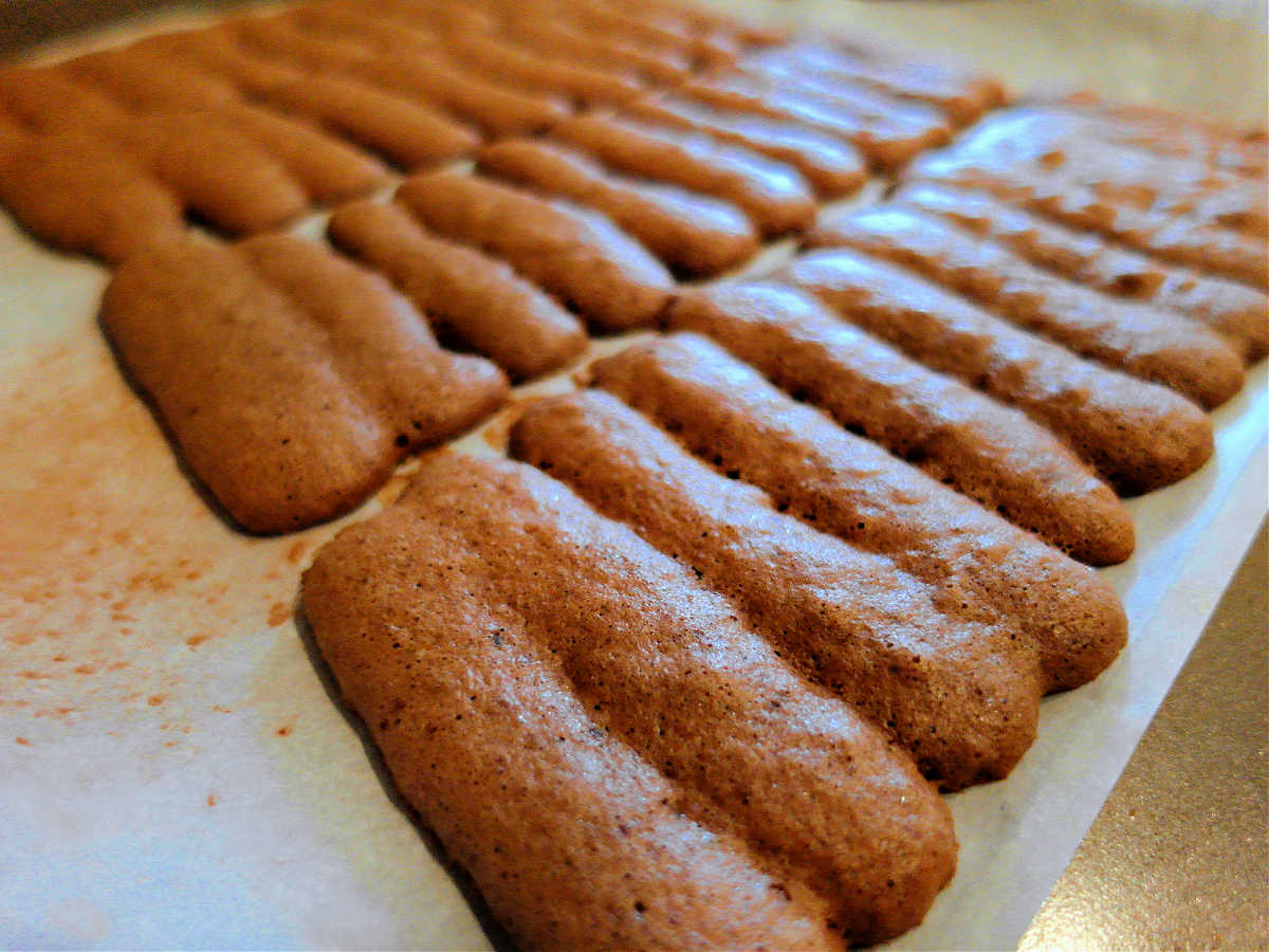 Chocolate Charlotte Cake with Lady Fingers for a Fancy Dessert