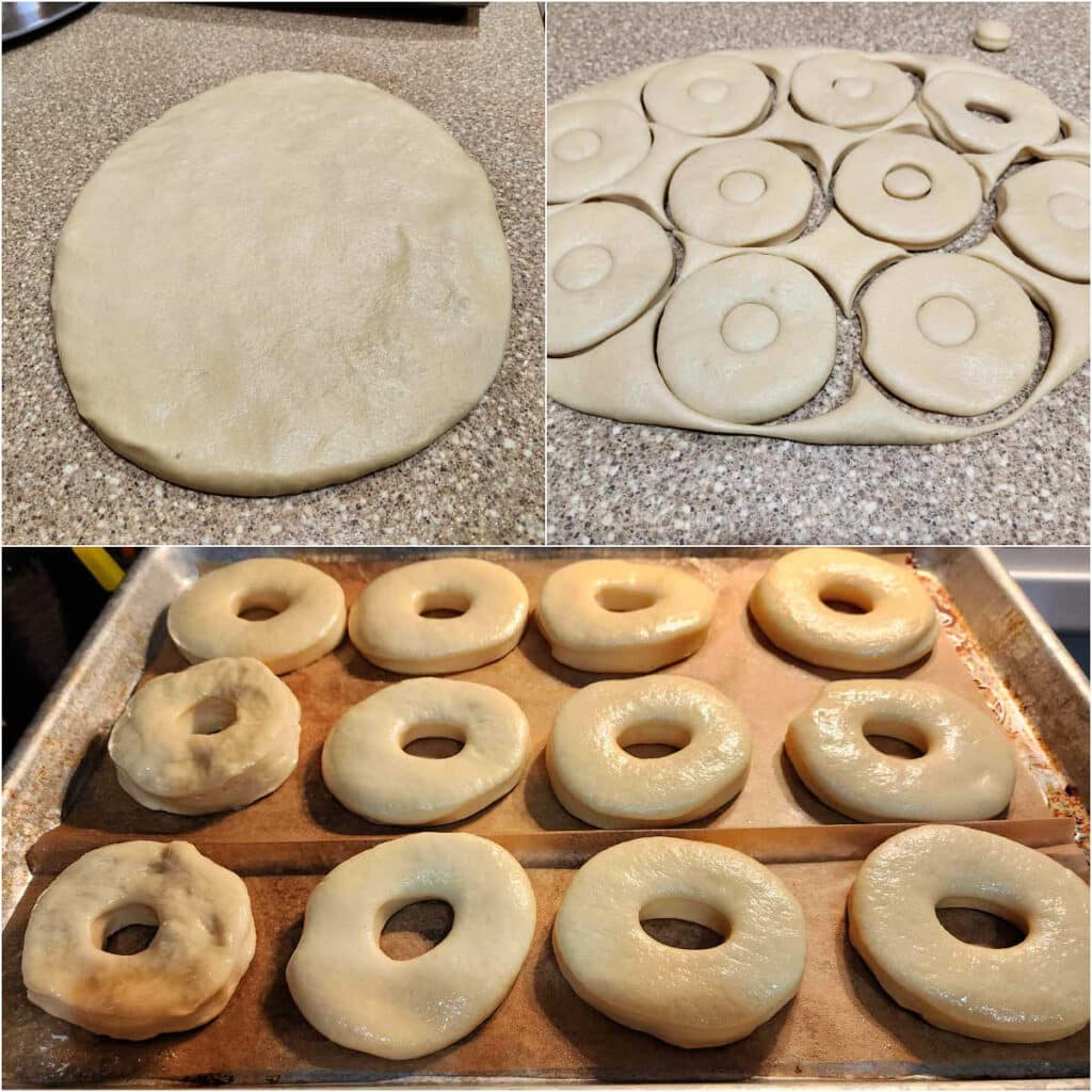 A collage of 3 images: 1)A round of dough patted out on a counter. 2)Doughnuts cut out of the dough. 3)The doughnuts proofing on a parchment-lined half sheet pan.