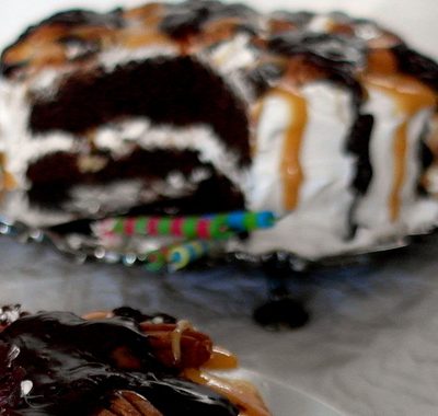Turtle Smore Chocolate Cake for Kim’s Birthday
