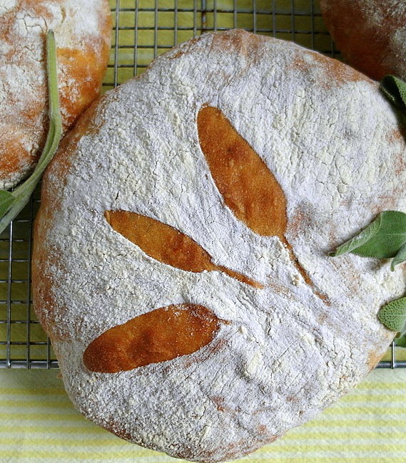 Close up of a round of bread stenciled with sage leaves.