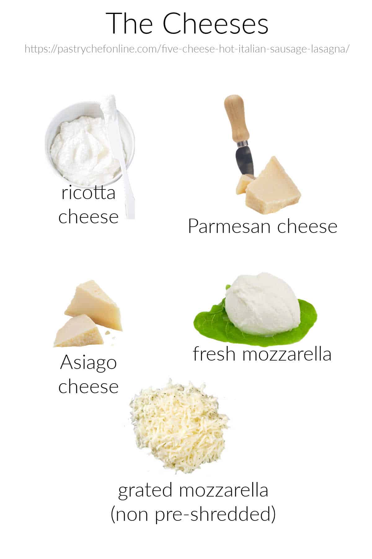 Five different cheese, labeled, on a white background: ricotta, Parmesan, Asiago, fresh mozzarella, and shredded mozzarella.