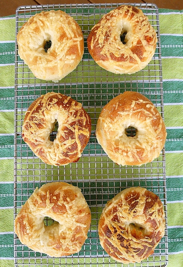 overhead shot of asiago cheese bagels cooling on a rack