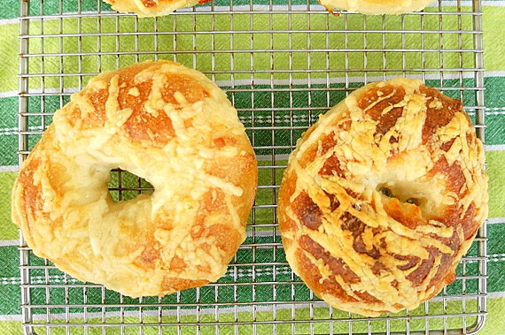 Two freshly baked asiago bagels cooling on a wire rack.