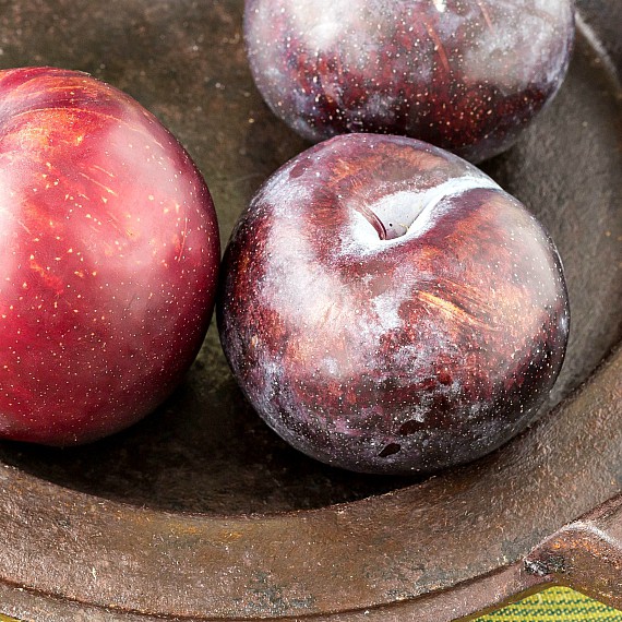 3 plums on a metal plate