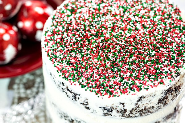 Top of vegan Christmas cake covered in multi-colored sprinkles.