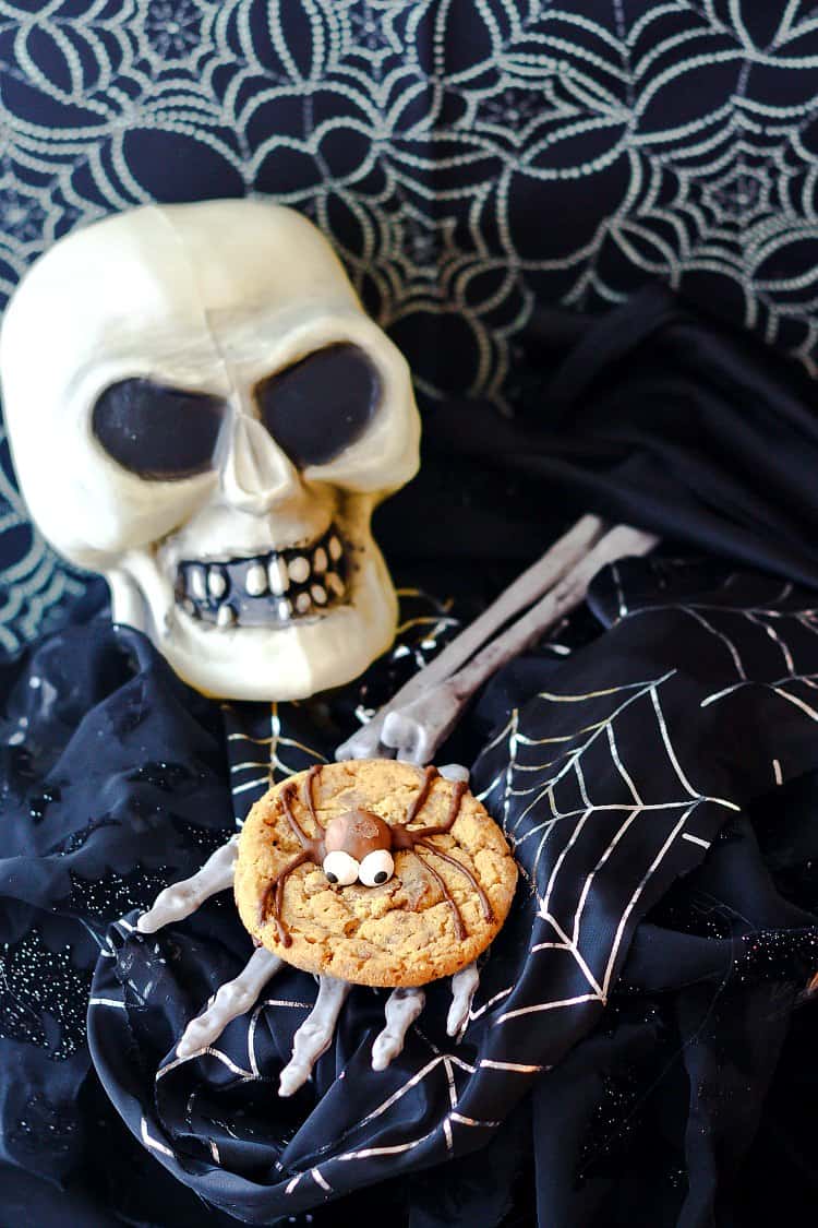One malted milk ball spider cookie with a chocolate bodied spider on a skeleton hand with a skull.