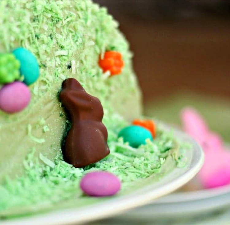 Close up of side of green Easter cake decorated with a chocolate bunny.
