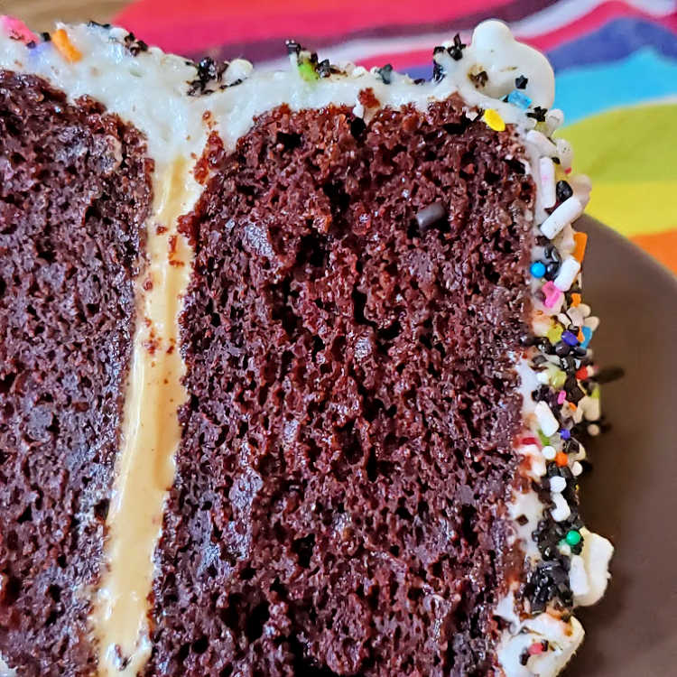 Close up image of chocolate layer cake with sprinkles.