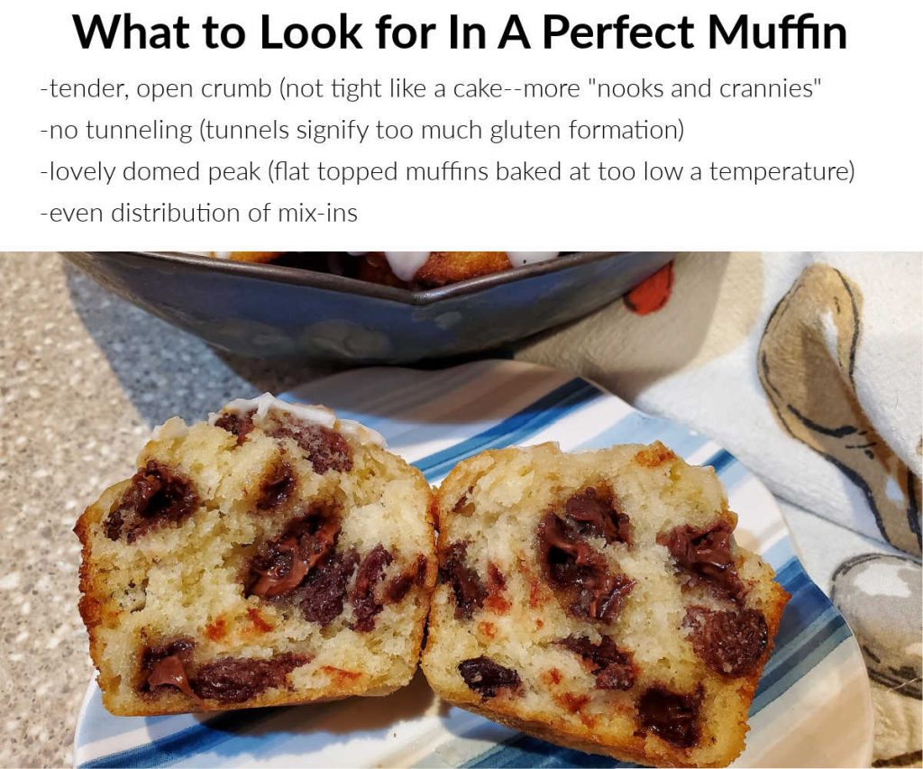 A split cherry chocolate chip and pecan muffin with text explaining four things to look for in a perfect muffin.