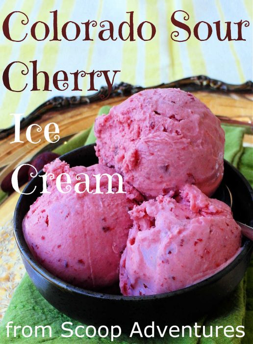 Sour Cherry Ice Cream Recipe Pastry Chef Online