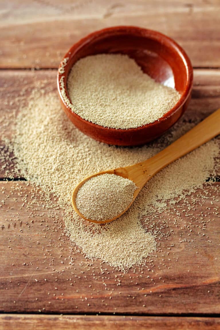 An overhead shot of instant yeast in a small terra cotta bowl and a wooden spoon.