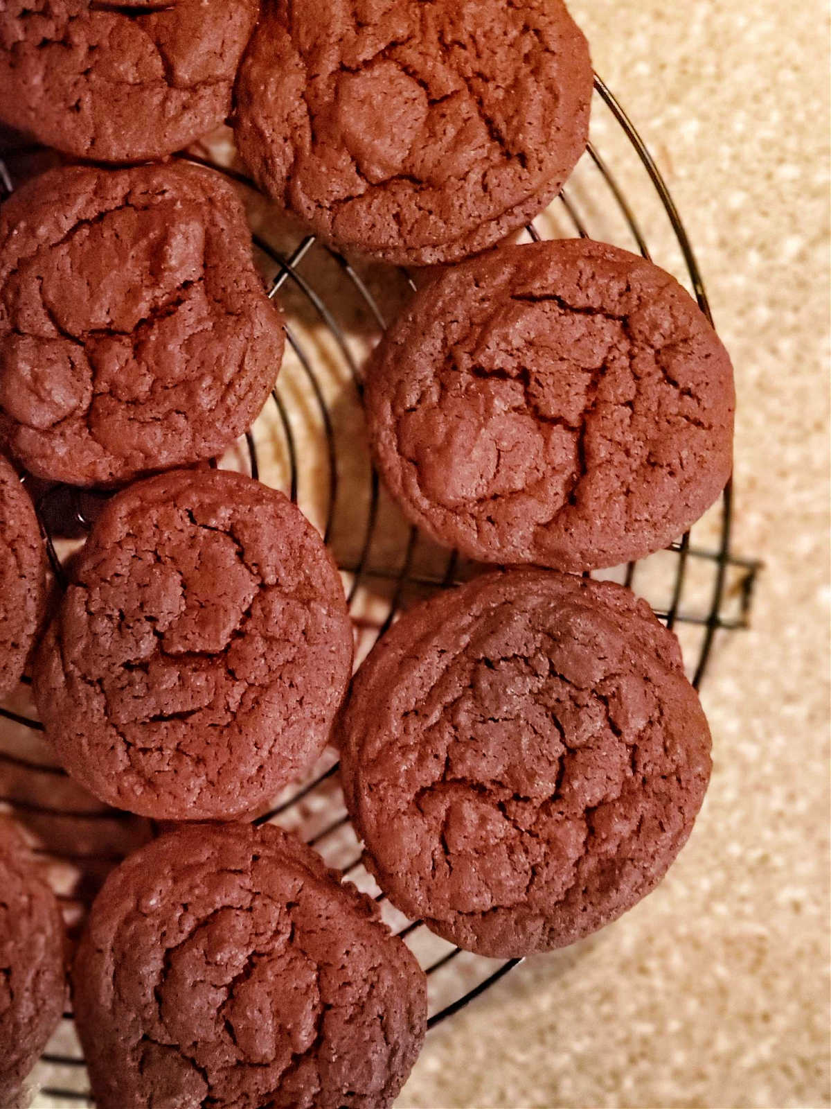 An overhead shot of soft chocolate cookies without mixins cooling on a black wire cooling rack.