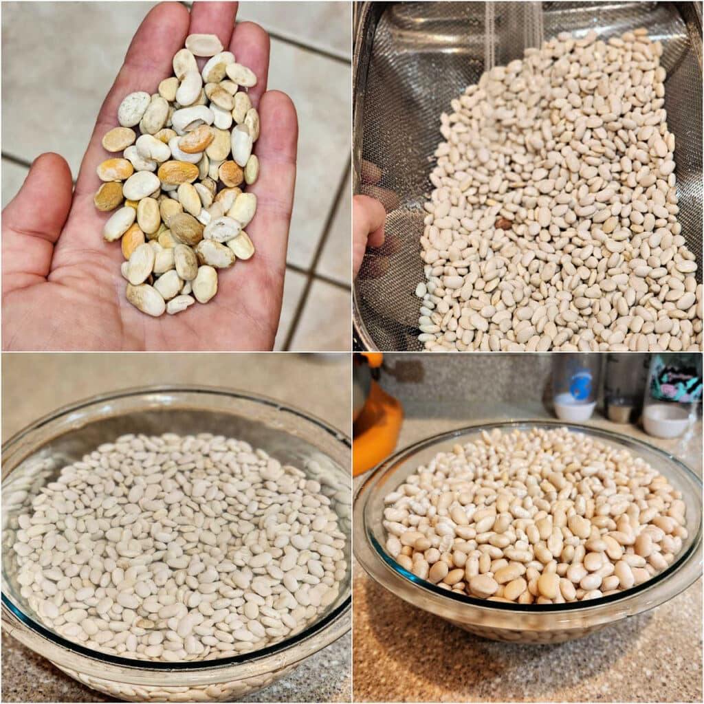 A collage for 4 images. The first shows a hand holding lots of broken and discolored white beans. The second shows white beans in a colander with water running on them. The third is a glass bowl full of white beans covered with a couple of inches of water. The fourth shows the beans after soaking overnight. Most of the water has been absorbed by the beans.