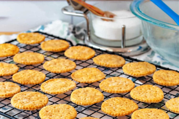 A black cooling rack filled with rows of small, round crackers. There is a glass bowl with a blue spatula in it and a metal-and-glass container of salt in the background.