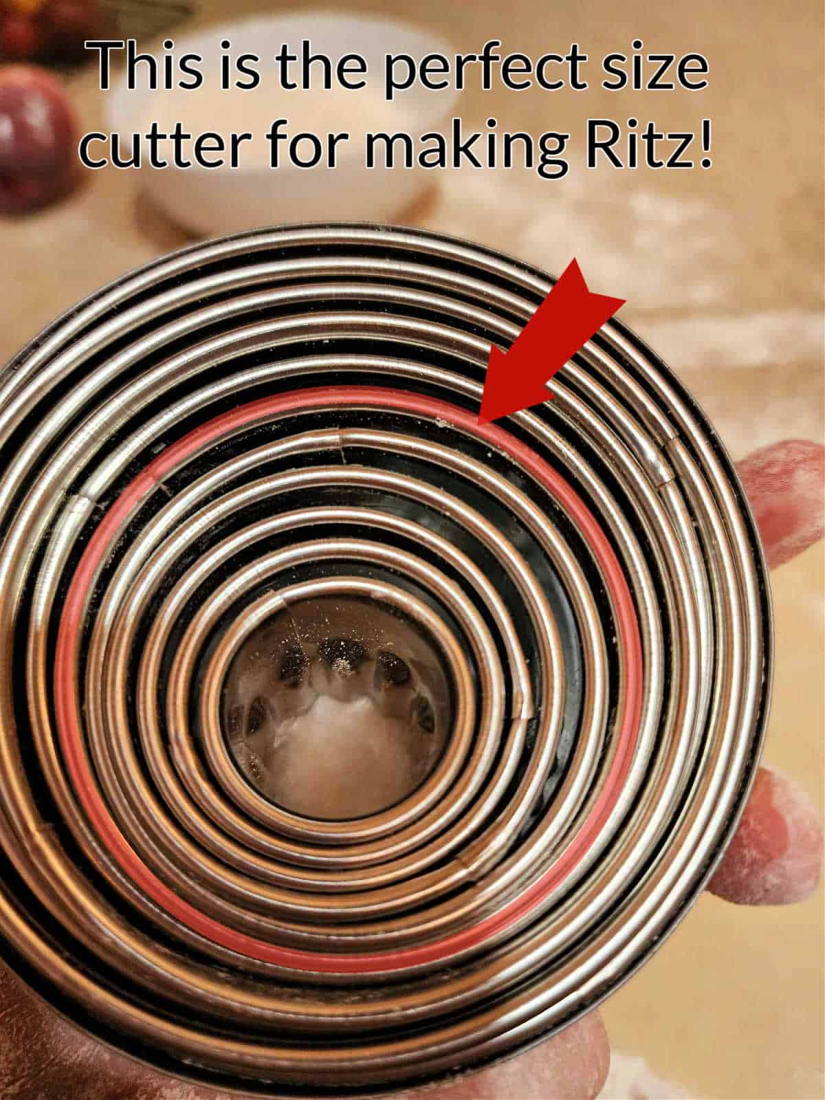 A closeup of a hand holding an open round tin of nesting cutters. There is an arrow pointing to the 6th one from the center and it is highlighted with a pale red circle. Title text reads, "This is the perfect size cutter for making Ritz."