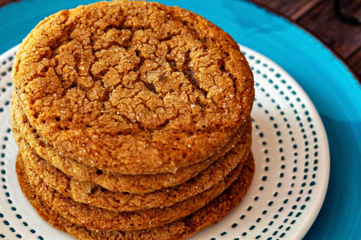 A close-up of a stack of 5 ginger cookies on a white plate with blue dotted lines around the outside.