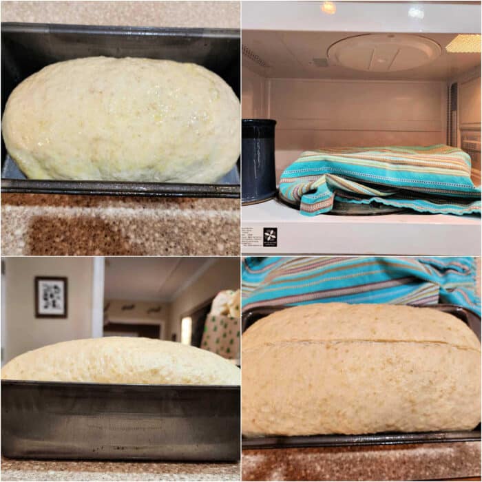 A collage of 4 images: 1)Shaped oatmeal dough in a bread pan. 2)The bread pan of dough covered with a turquoise-striped towel next to a mug of hot water in an open microwave. 3)The dough risen well above the rim of the loaf pan. 4)The dough with a shallow slit cut down the center right before putting in the oven.