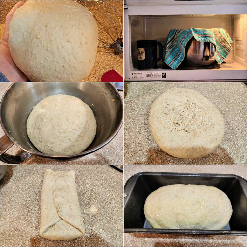 A collage of 6 images: 1)A hand holding a smooth ball of bread dough. 2)A metal mixing bowl covered with a turquoise striped towel next to a mug of hot water in an open microwave oven. 3)The dough, well-risen, in the mixing bowl. 4)The risen dough turned out in a smooth blob on a countertop. 5)The dough shaped into a rough rectangle with the two long sides folded in and overlapping a bit in the center. 6)The shaped loaf of dough in a gray metal loaf pan.