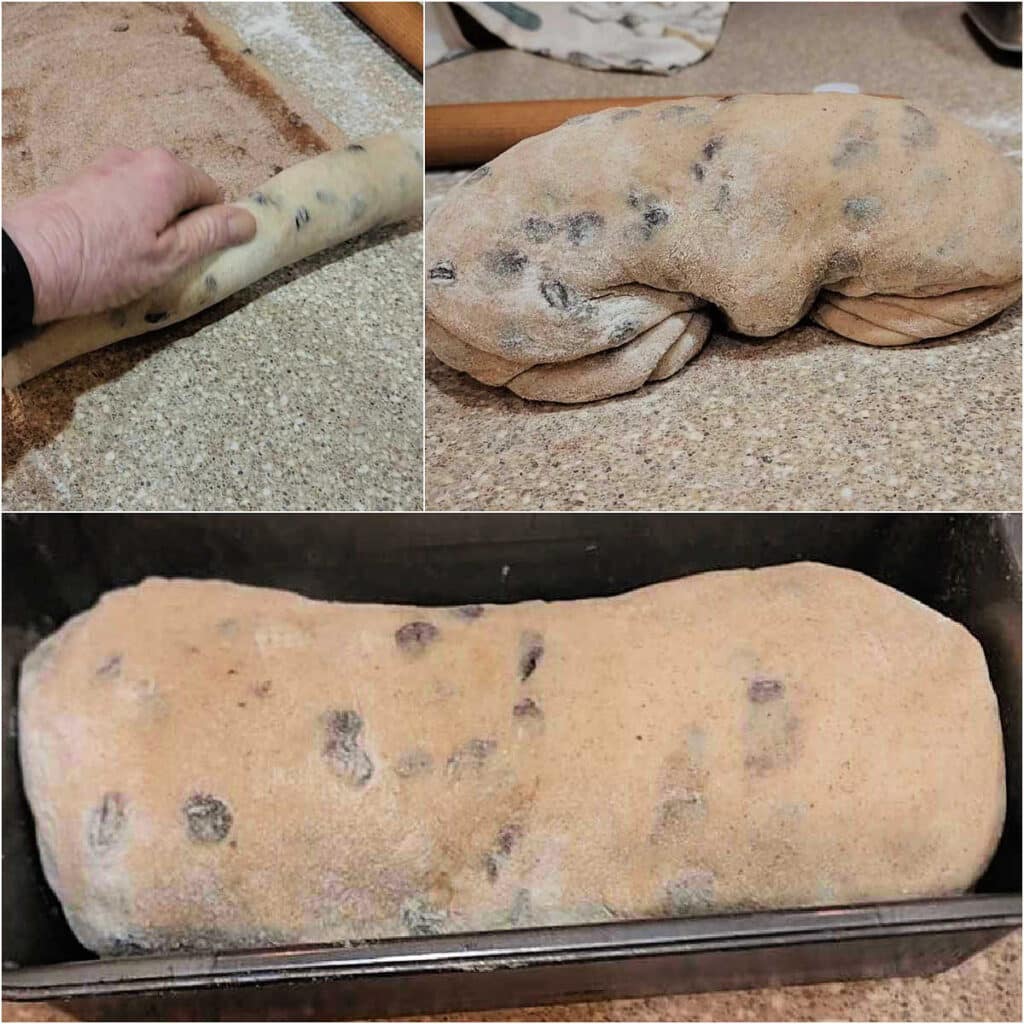 A collage of 3 images showing how to shape a loaf of cinnamon raisin bread: 1)A long, thin rectangle of dough sprinkled liberally with cinnamon sugar being rolled up from a short end. 2)The log with both its ends turned down to the counter so it will fit in the pan. 3)The shaped loaf in a bread pan, ready for its final rise.