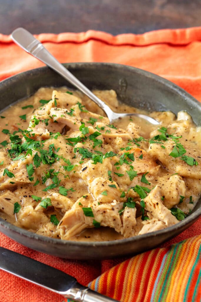 A shot of a wide, shallow bowl of turkey and dumplings with a spoon in it.
