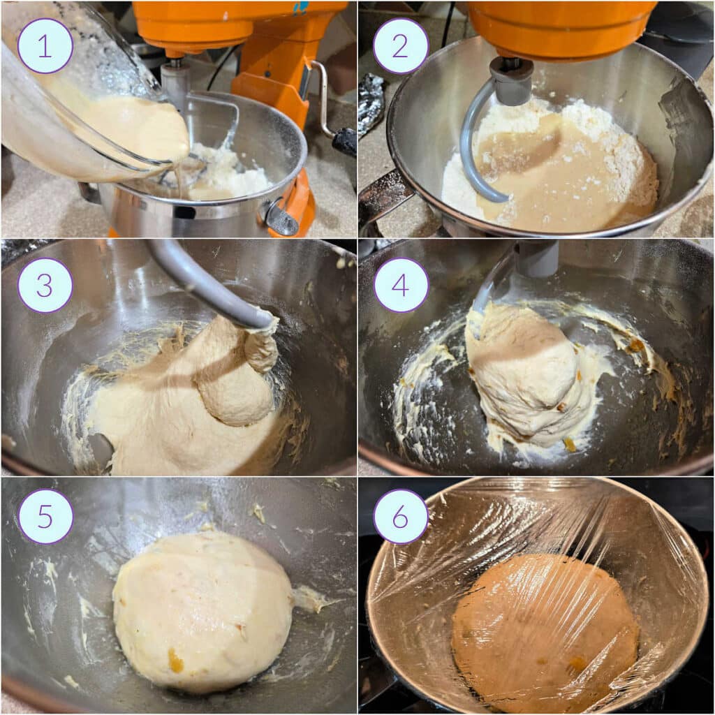 A collage of 6 images showing how to prepare houska dough: adding the wet into the dry, kneading, kneading more after introducing golden raisins, and then in the bowl ready to rise.