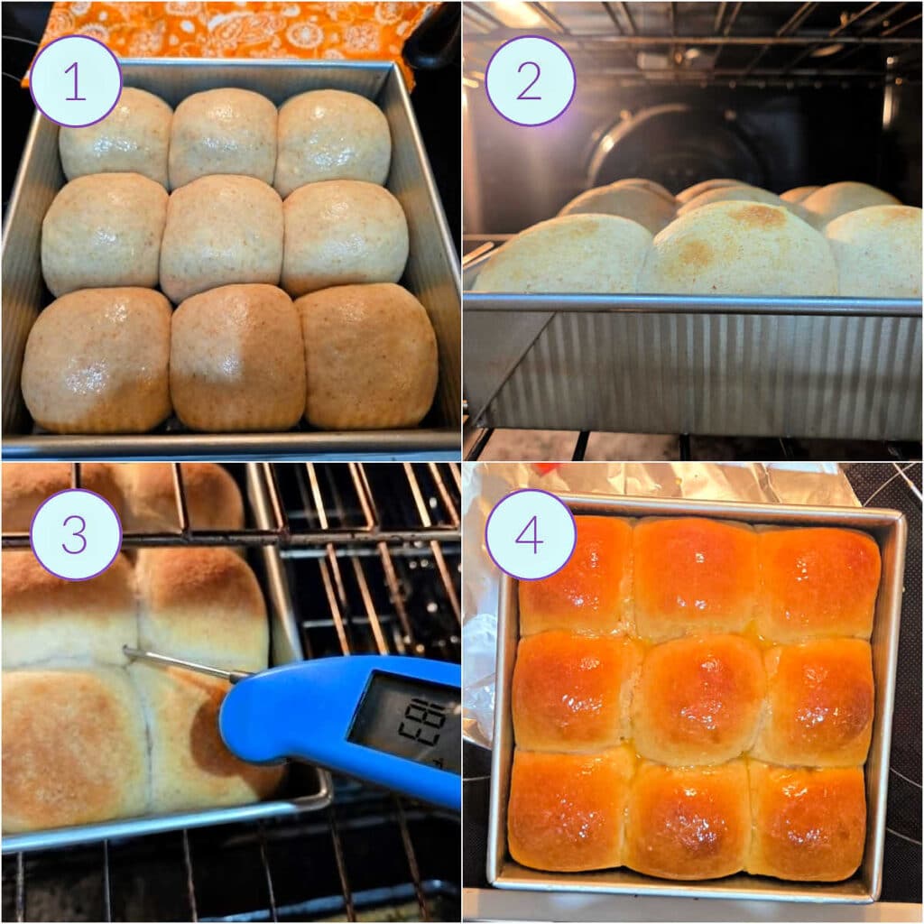 A collage of 4 images showing risen rolls baking and then fully baked and out of the oven.