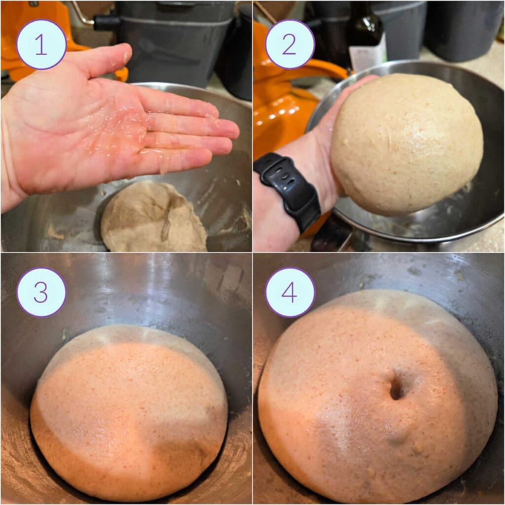 A collage showing how to oil your hands and form a sticky dough into a smooth ball for the first rise.