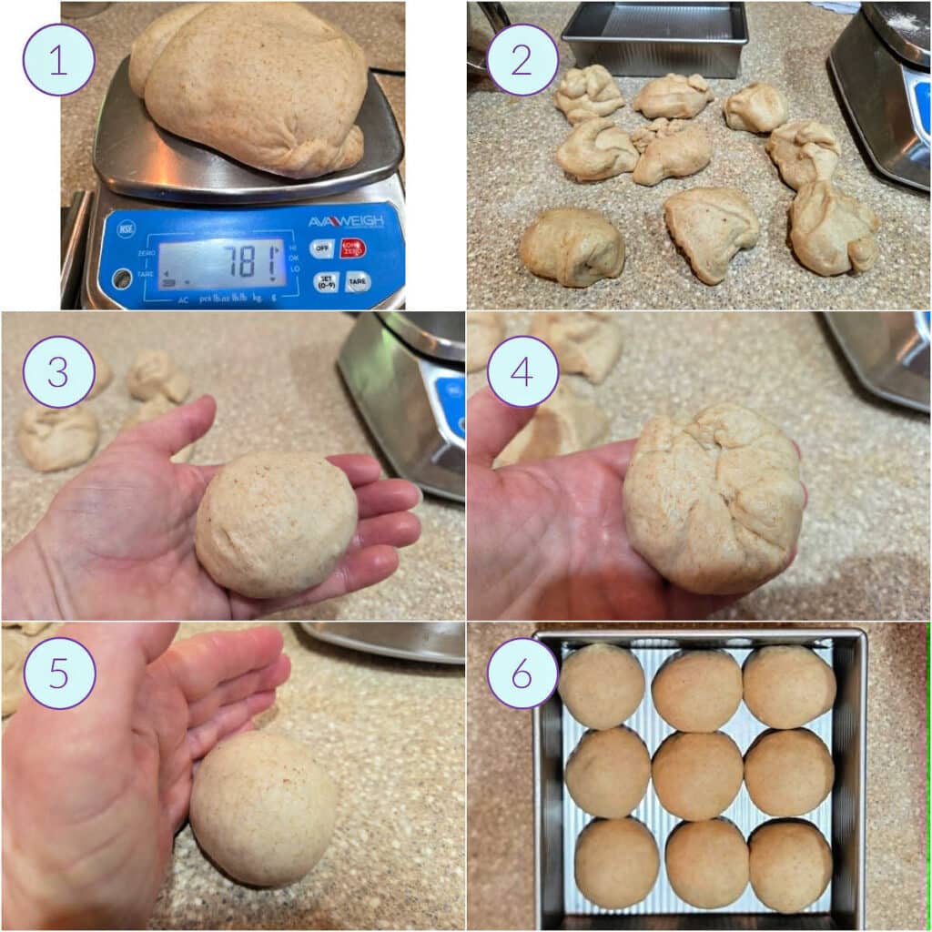A collage of 6 images showing how to scale out dough and shape it for making dinner rolls.