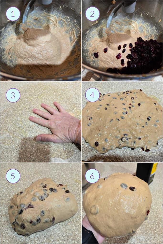 A collage of 6 images showing how to knead and add raisins to the English muffin dough before bulk proofing.